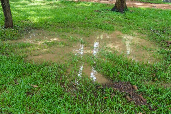 Cost of Storm Water Drainage Service in Falls Church