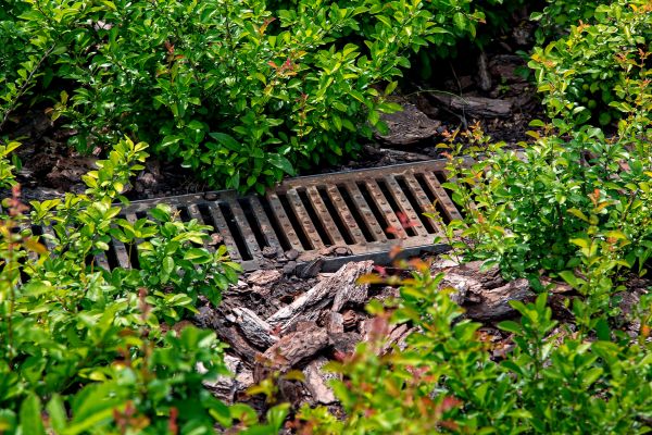 Cost of Underground Drainage Service in Falls Church