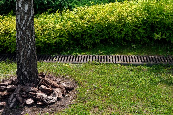 Cost of Wet Yard Drainage in Falls Church