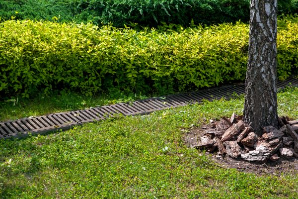 Cost of Residential Landscape Drainage in Falls Church